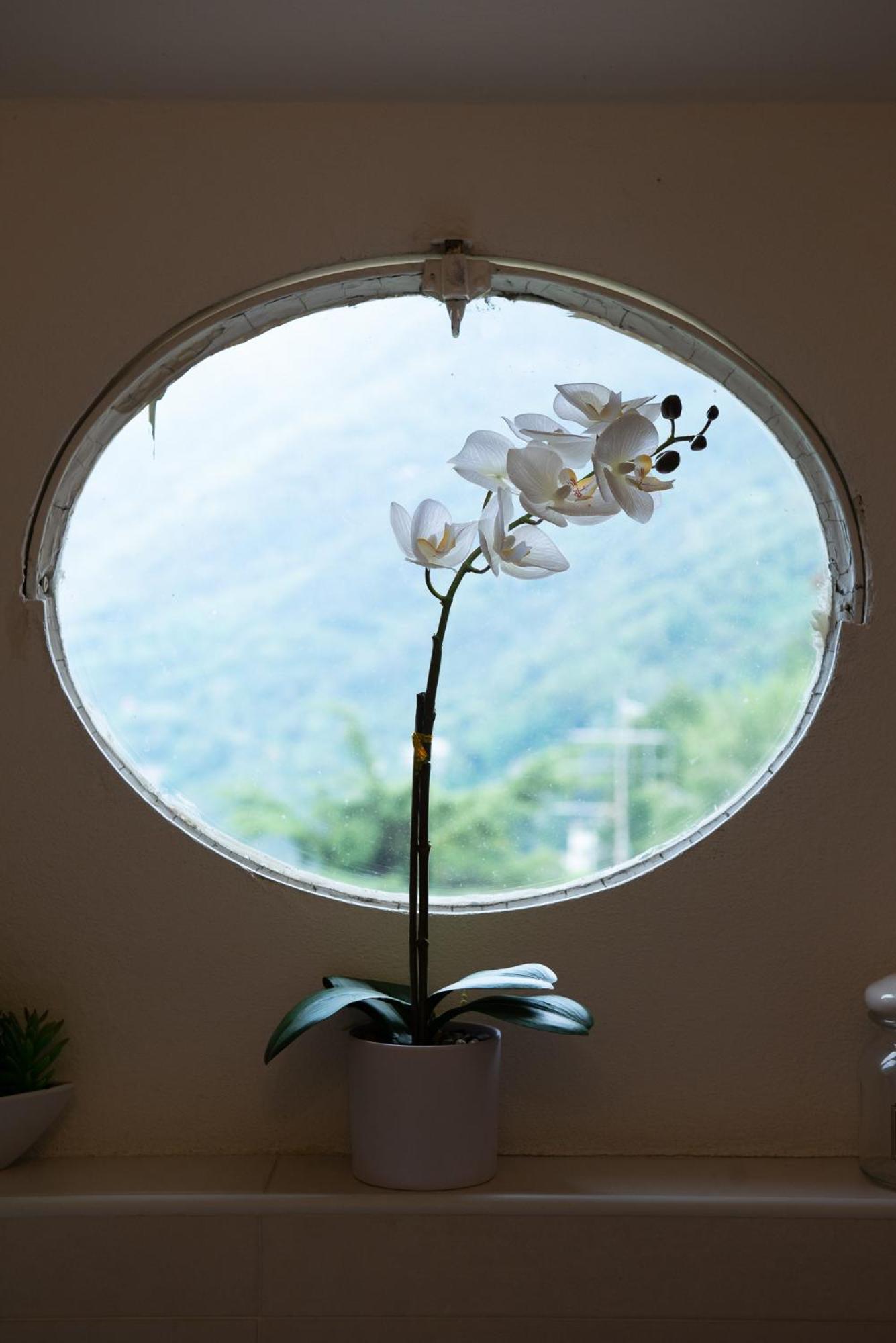Appartamento "Bella Vista" Sul Lago Di Como Faggeto Lario Екстер'єр фото